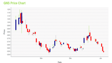 GNS Stock