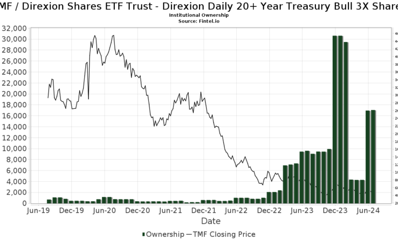 TMF Stock