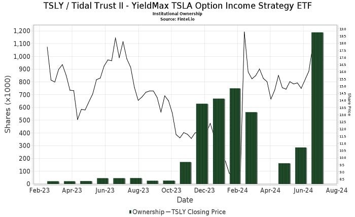 TSLY Stock