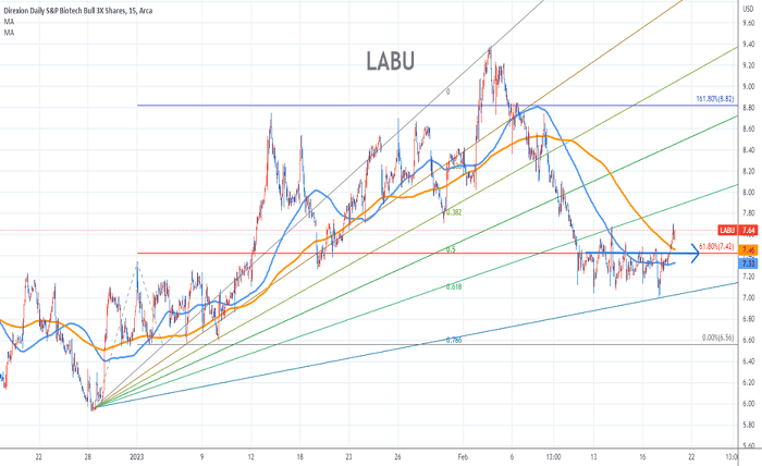 LABU Stock