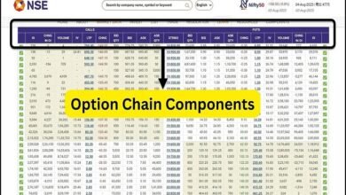 finnifty option chain nse